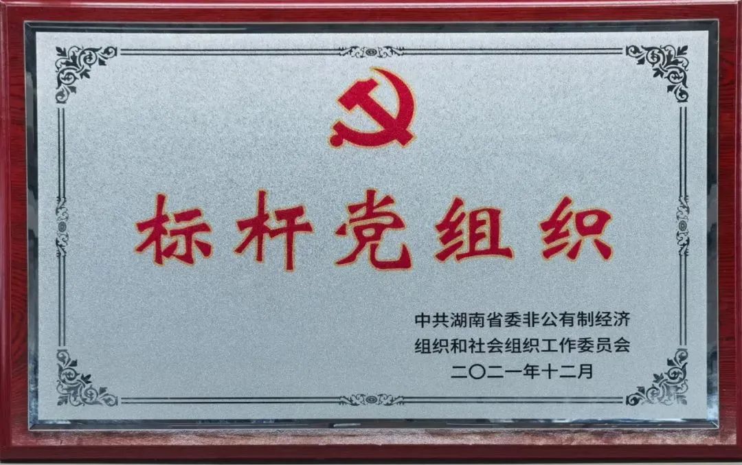 党建品牌亮起来！永利集团官网智能党委获评“标杆党组织”