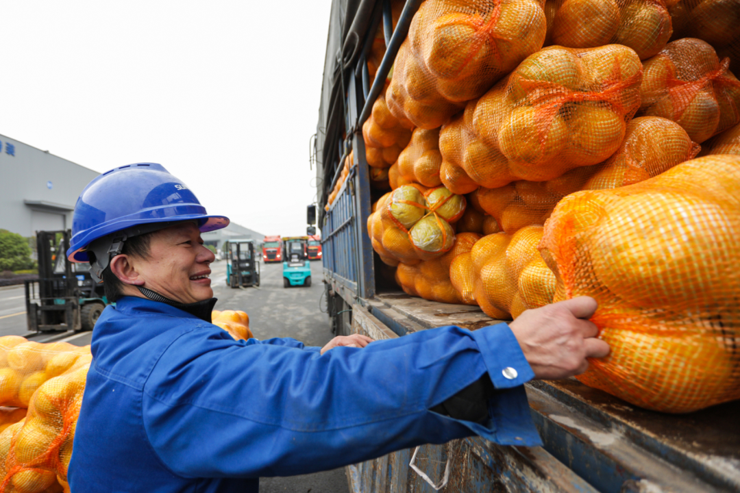 点赞！永利集团官网智能乐成入选“上市公司墟落振兴优异实践案例”